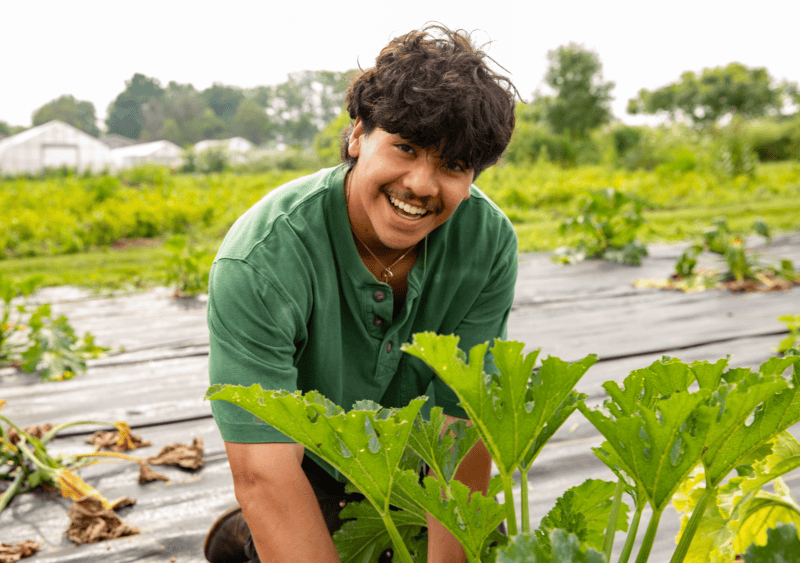 A Community Foundation intern works at Green Bridge Growers