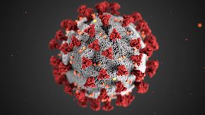 Artist's rendering of a coronavirus disease cell