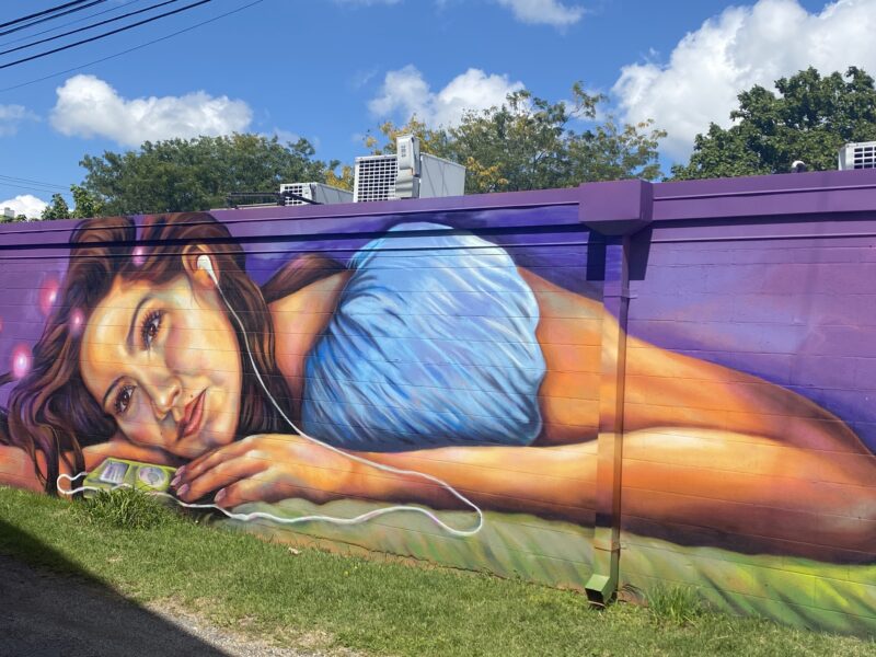 Texas artist Taylor Barnes painted this mural, called 'Commit This To Memory', on the south wall of the Purple Porch Co-op as a part of Mural Mania 2025.